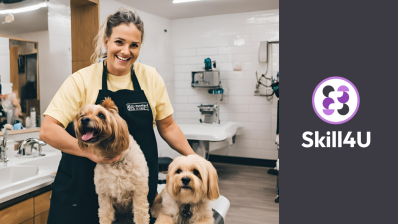 Kutyakozm_blog_kezdokep