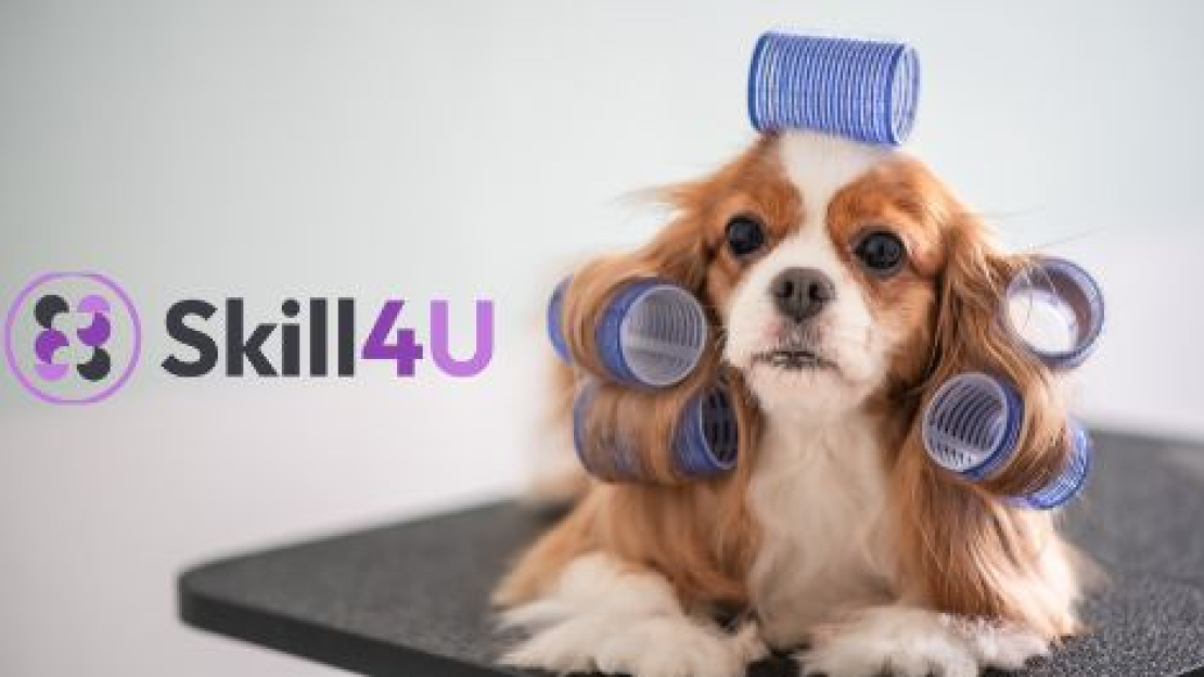 10 tipp vállalkozás indításához