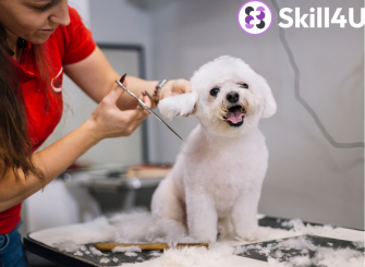 Kutyakozmetikus képzés