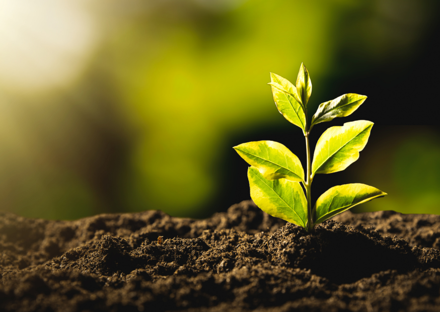 Fenntarthatósági menedzser képzés