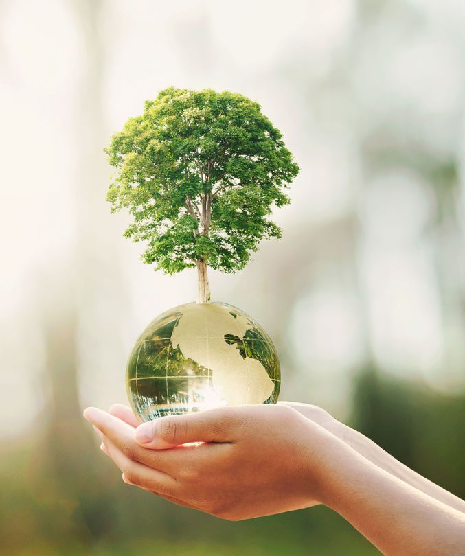 Fenntarthatósági képzés