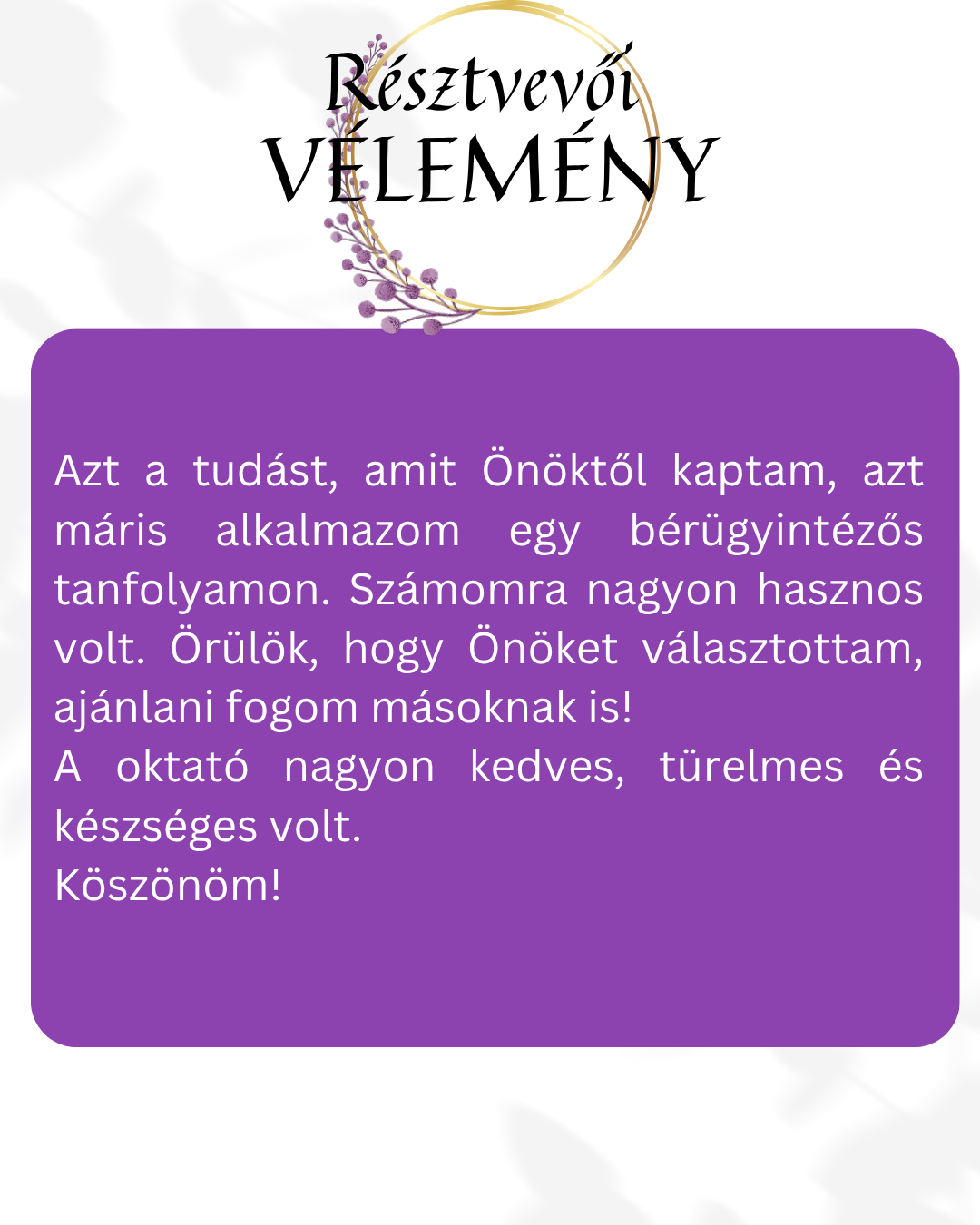 Green_1Modern Customer Testimonials Instagram Post (1)