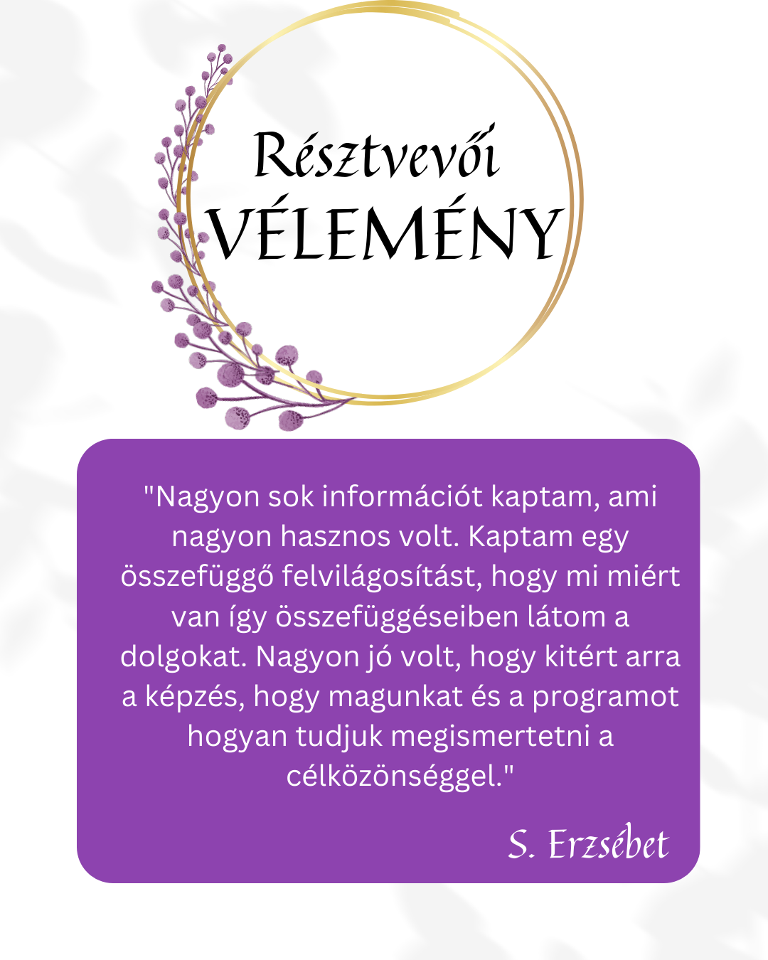 Green Modern Customer Testimonials Instagram Post (2)