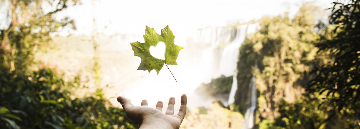 hand-holding-leaf-with-heart-shape
