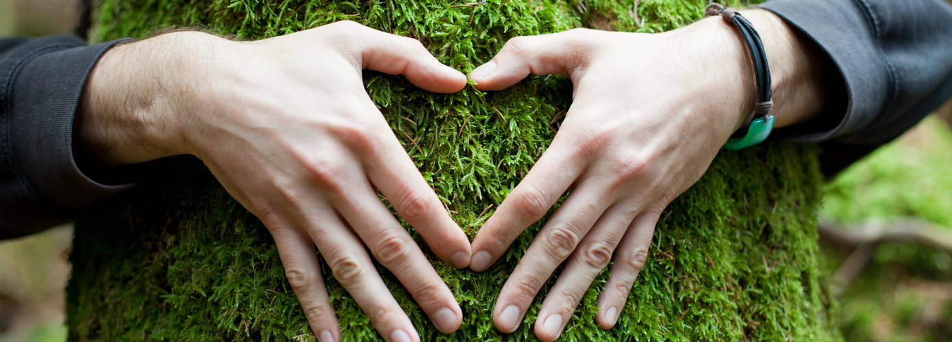 hands-shape-heart-tree