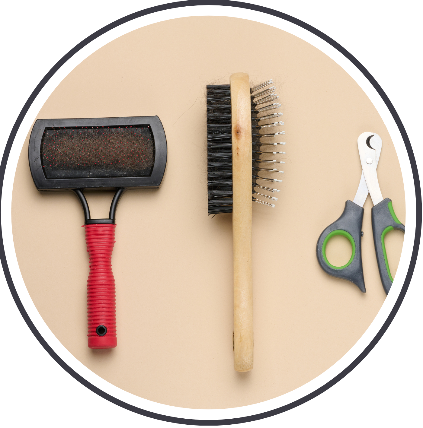 Kutyakozmetikus_blog_8